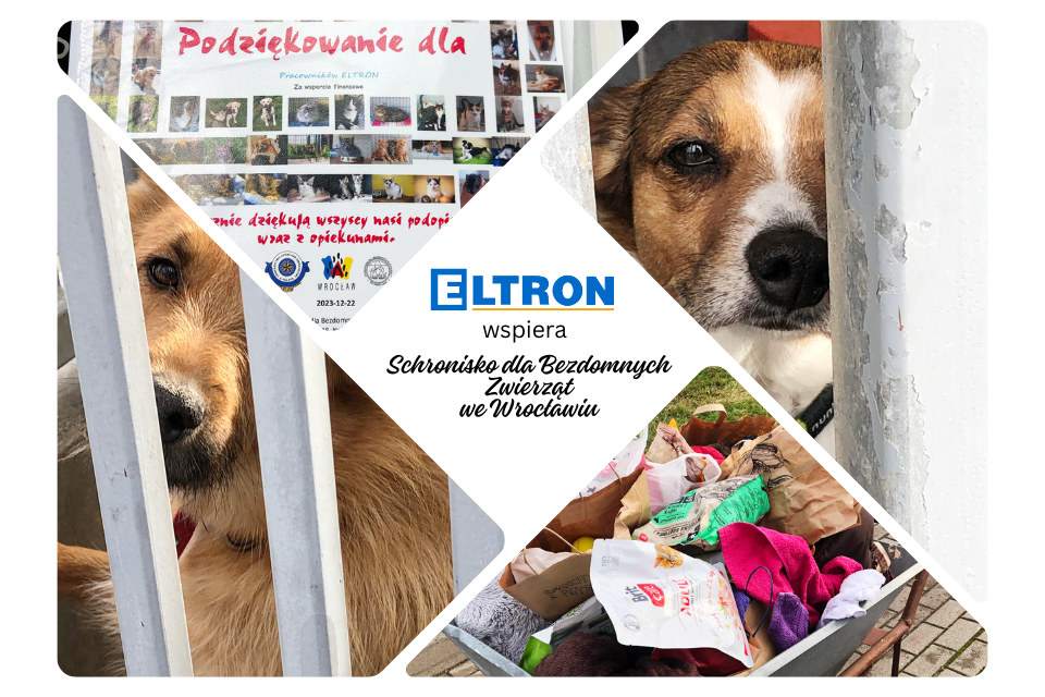 Eltron wspiera Schronisko dla Bezdomnych Zwierząt we Wrocławiu